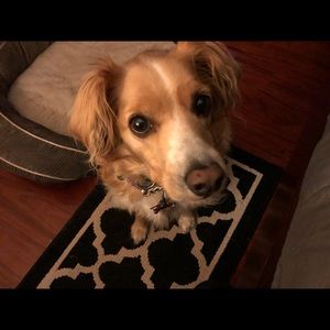 Meet your Posher, Lorie